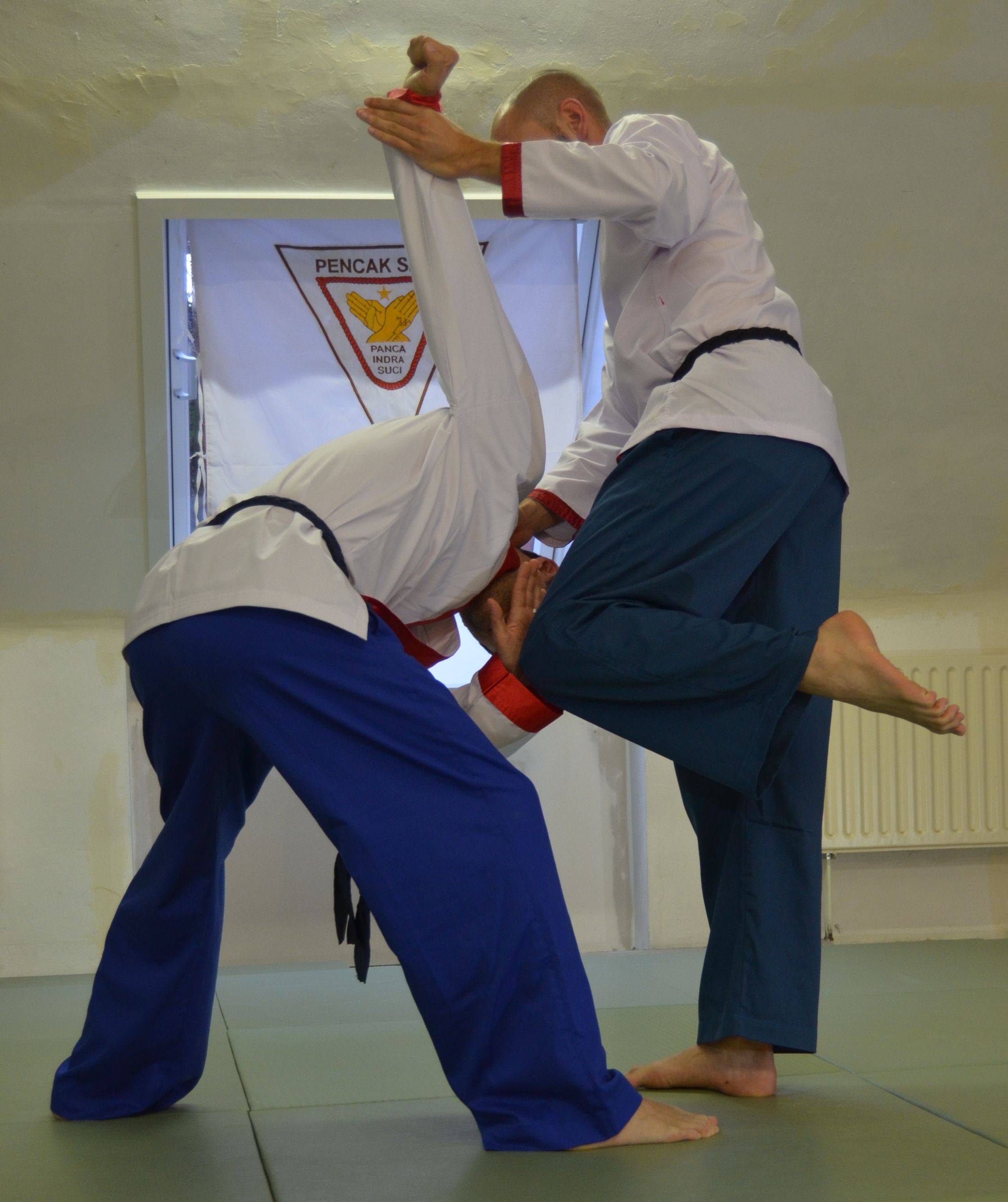PencakSilat.jpg
